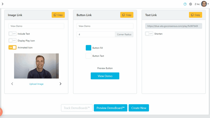 GIF DemoBoard Link PIV